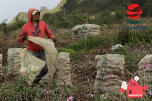 Crédito al consumo rápido y fácil del Banco Finandina
