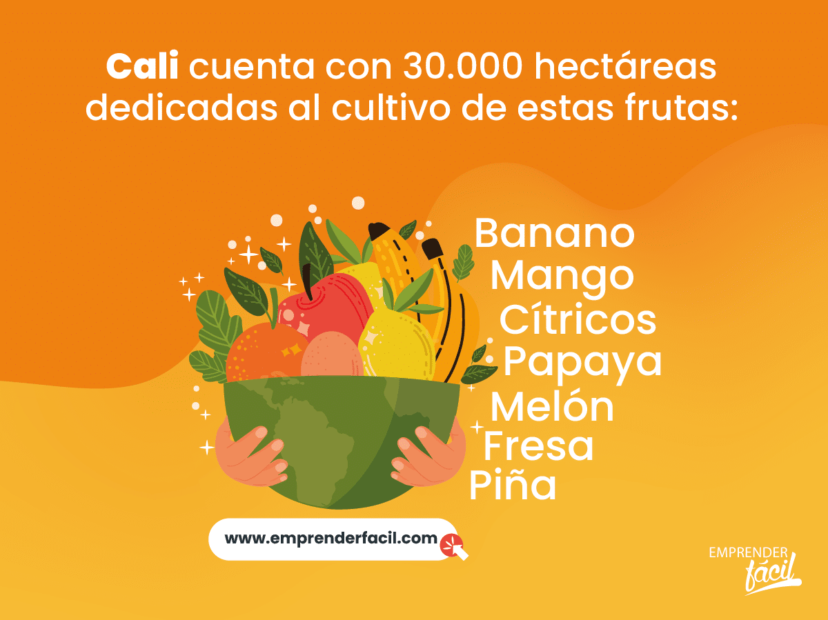 La fruta te da posibilidades