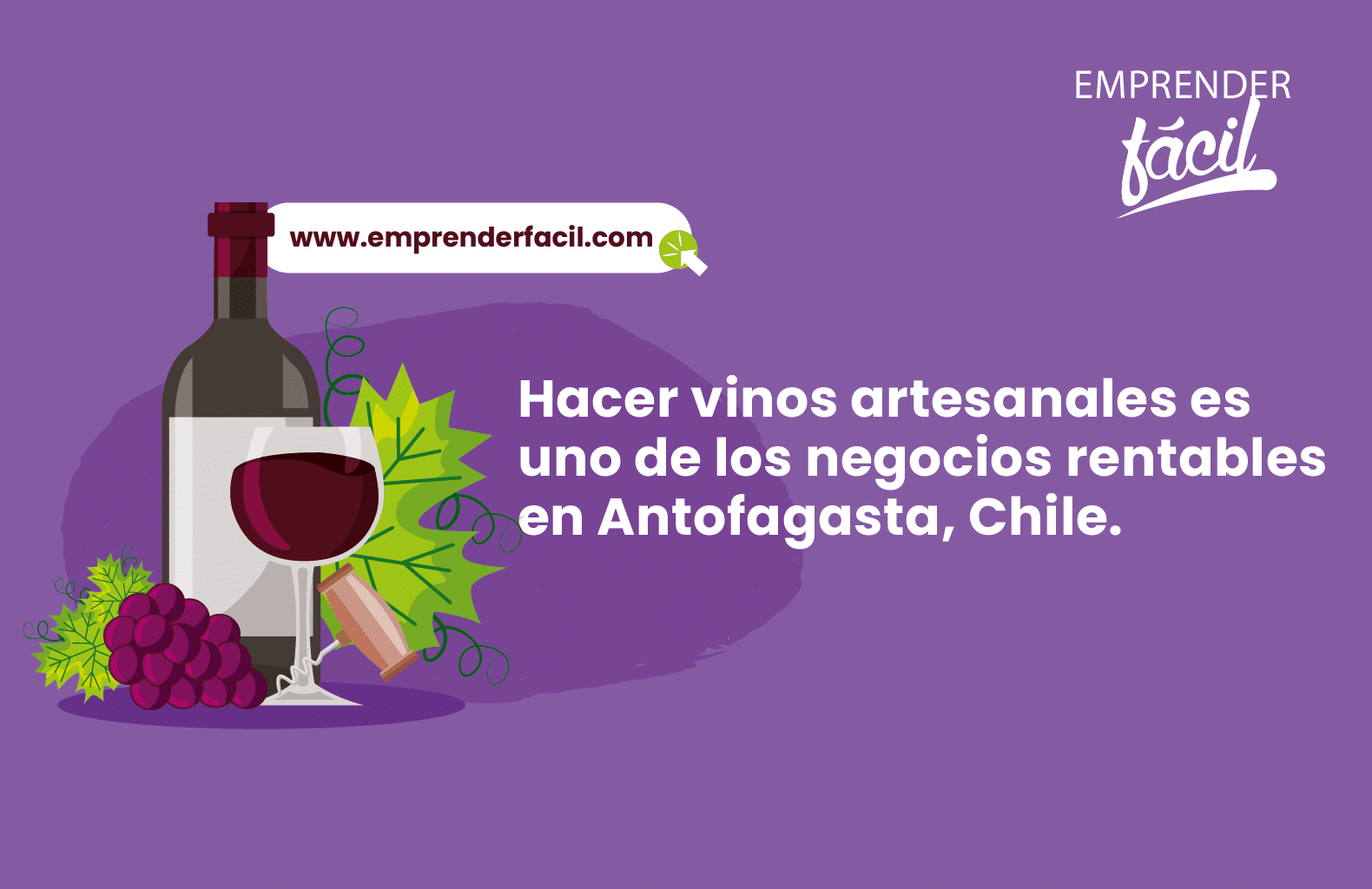 La elaboración artesanal de vino es uno de los negocios más rentables en Antofagasta, Chile.