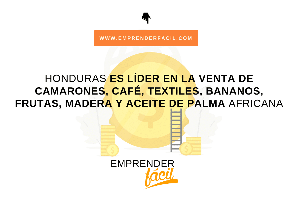 Negocios rentables en Honduras