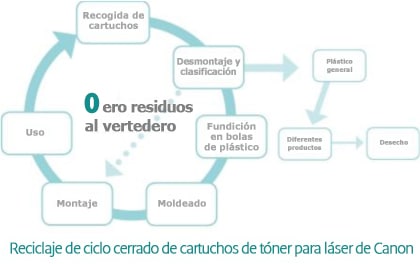 Ideas de negocios verdes para emprender. Segunda parte