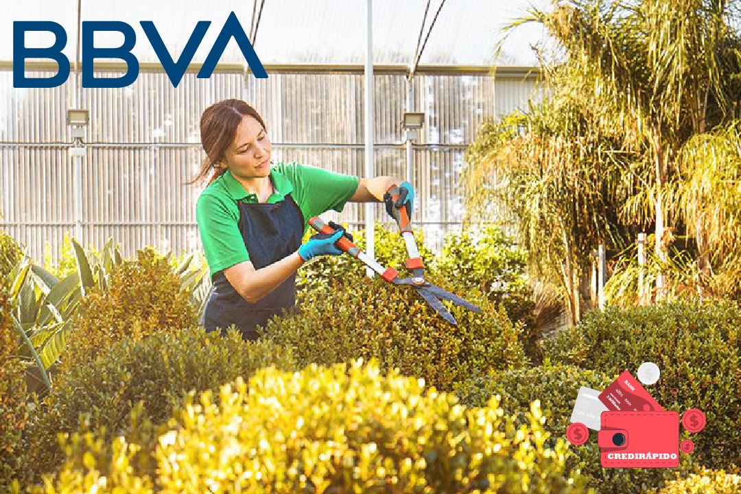 Crédito al consumo - BBVA