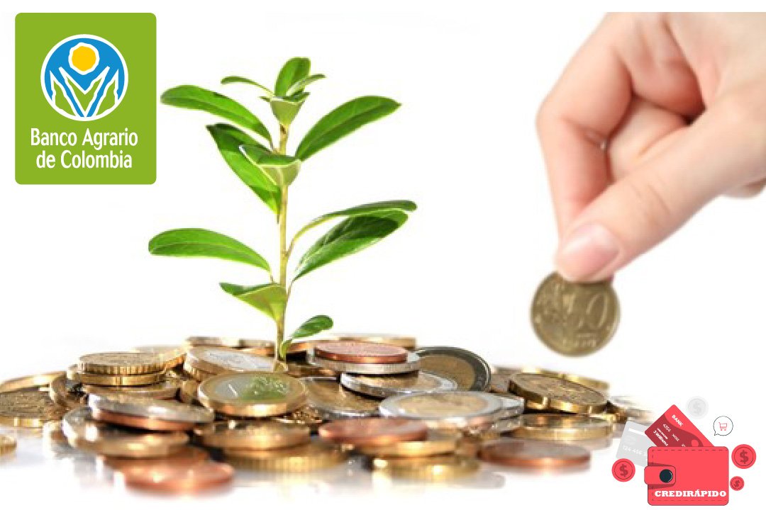 micro-prestamos-del-banco-agricola